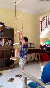 Kids Sensory Climbing Rope Ladder Swing Indoor Outdoor 6 Rungs Rainbow Color Children Gym Play Kindergaten Activities