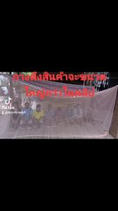 มุ้งกันยุงใหญ่ที่สุด 12 ฟุต หลังคามุ้งเป็นผ้าโพลี พิมพ์ลาย กันแสงรบกวนตาตอนนอน