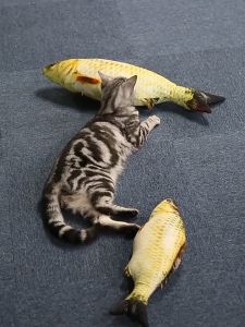 Cat Fish Toy Plush Pillow Fun Play Distract Bite Chew Kitten Artificial Catnip Doll Simulation