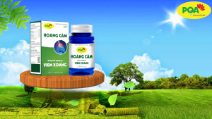 PQA Hoàng Cầm thông mũi giúp giảm các biểu hiện đau vùng đầu trán hắt hơi chảy nước mũi nghẹt mũi do viêm mũi viêm xoang