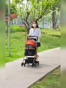 Xe Đẩy Thú Cưng Nhôm Nhẹ Gập Được cho Chó Nhỏ