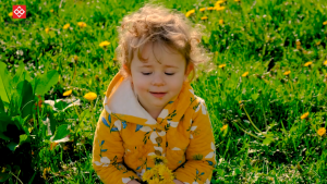 Tớ Yêu Khoa Học - Chuyến Phiêu Lưu Của Bộ Não - Sách Tương Tác Lật Mở Kéo Đẩy Và Dựng Hình 3D (Đinh Tị)