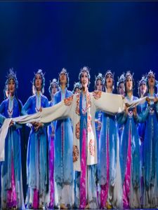 Blue Ethnic Flower Dan Costume Womens Traditional Opera Performance Outfit Classical Dance Suit Female Model Stage Wear