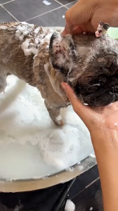 AKIIKA All-natural herbal pet soap Antibacterial Deodorization Eliminate parasites Pet care
