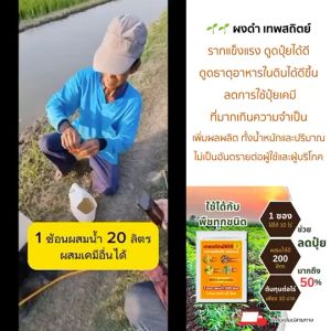 ปุ๋ยสุดประหยัด ผงดํา 2 กรัม ผงดําเทพสถิตย์ ของแท้ ใช้ได้ 10 ไร่ อาหารเสริมพีชฉีดทางใบ