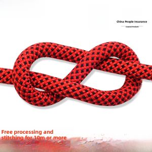High Strength 10.5mm Climbing Rope High Altitude Work Safety Rope National Standard Rappelling Rope Wear Resistant Rope with Hooks