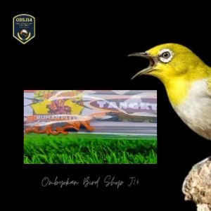 tangkringan helopet lurus kayu asem model ukir