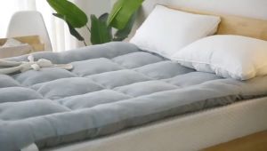 【Thickened&24 H Shipped】Mattress Tatami Home/Dormitory/Student Solid Color Thick Mattress Comfortable Folding Single/Double/Queen/King size  foam for double bed Foldable single latex Mattress 10cm thick 2 person family size  Sale Tatami bed