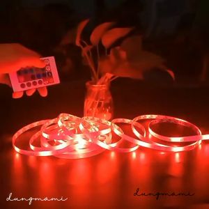 Đèn led trang trí dây đèn LED đổi màu RGB dài 5m kèm nguồn 12V và điều khiển từ xa 24 phím chỉnh được màu độ sáng tốc độ các hiệu ứng chớp nháy dùng để trang trí không gian sống