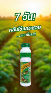 กัปตันเรือ แอดซอย ขนาด 1 ลิตร สารลดกรดในดิน ปรับปรุงโครงสร้างดิน ให้มีค่าความเป็นกรด-ด่าง 6.5 ช่วยให้พืชดูดซึมสารอาหารดีเยี่ยม