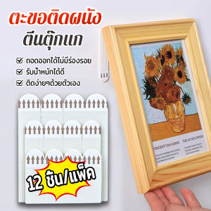 Thai Pioneers ตีนตุ๊กแกติดผนัง ตีนตุ๊กแกแขวนรูป ไม่ต้องเจาะผนัง 12 ชิ้น/แพ็ค Nylon hook