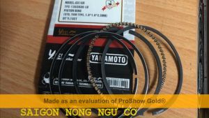 Robin EY20 Piston Séc măng Bình xăng con IC Tay dên Ốp giật nổ