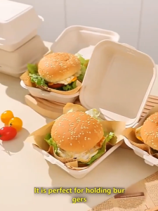 Eco-Friendly Takeaway Box for Burger and Fried Chicken Microwave Safe Leak Proof 100% Compostable 50PCS