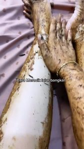 LULUR REMPAH KAYU BANGKAL / Body Scrub Alami Aman Di Kulit Pemutih Badan Kemasan 10 gram