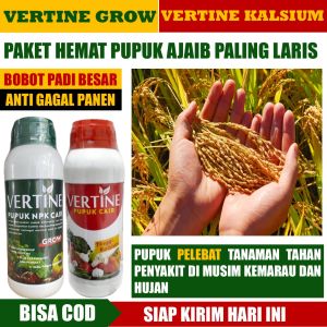 (PROMO) PAKET PUPUK LENGKAP PADI VERTINE GROW & VERTINE KALSIUM TERBAIK MELEBATKAN DAN MEMPERBANYAK HASIL PANEN PADI MUSIM HUJAN PUPUK NPK CAIR DAN KALSIUM PADI PALING BAGUS MELEBATKAN PADI TANPA HAMA DAN PENYAKIT