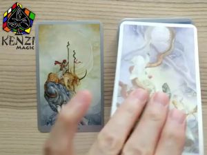Kartu Tarot Shadow Scapes Tarot Decks