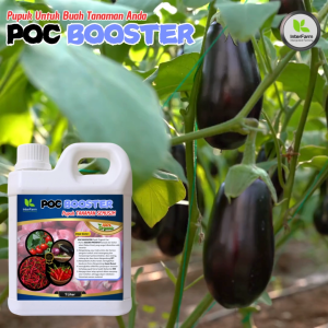 INTERFARM Booster Poc Multinutrisi untuk Terong - Pupuk Cair Organic Premium
