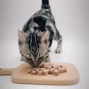 Gan gà sấy cho chó mèo gan gà sấy cho chó mèo