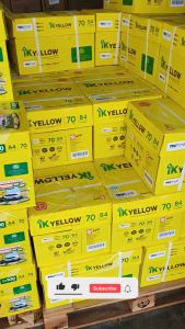 IK Yellow / IK Copy / IK Eco /Double A Smartist A4 (500 sheets x 70gsm)