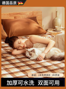 Double-Control Heating Pad Electric Blanket Single Double Person Student Dormitory Temperature Regulation Mat Warm Comforter
