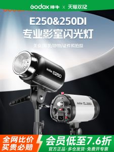 Godox E250 Photography Flashlight SK400ii Professional Indoor Studio Light Small Pioneer 250W Passport Photo Lighting SK300 Static Product Photography 400W Fill Light