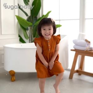 Sugarbaby Potty Training Seat & Ladder / Potty Seat / Toilet Training Anak