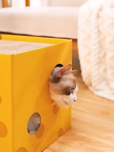 เล็บเล็บแมว บ้านแมว ที่นอนสัตว์เลี้ยง 2 ชั้น ลับเล็บได้ 20 วิดเลอร์