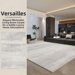 AOVOC | Waterproof Stain Resistant Luxury Minimalist Style Rug