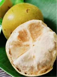 Fresh Dehydrated Luffa Fruit Large New Harvest Guangxi Guilin Specialty Yongfu Mountain Top Luffa Tea Snack Nutritional Supplement