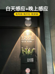 Rechargeable Spotlight Wireless Punch-Free For Home Wiring Free Decorative Painting Wall Lamp Entrance Door Plate Induction Lamp