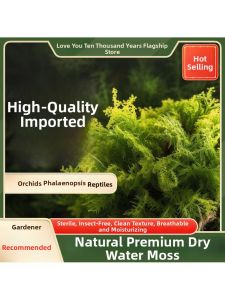 BAQILING | Orchid Soil Wet Moss Dry Moss
