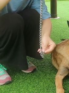 Vòng cổ cho Chó bằng thép không gỉ hàn liền có khoen móc xoay 360 độ - Love Pets shop