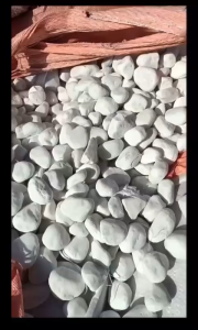 【SG Evergreen】Decorative Pebbles Garden Landscaping Stones White River Rocks River Stones for Aquarium Plants Potting Snow White Pebbles Fish Tank Pebbles White stone