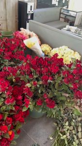 Bunga Mawar Potong Segar Peach untuk Buket Dekorasi Hadiah