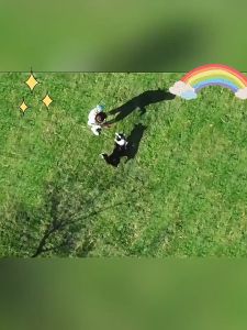 แหวนแมวกำจัดหมัดและเหาแมวกำจัดหมัดปลอกคอสัตว์เลี้ยงภายนอกแหวนขับไล่แมลง 8 เดือนป้องกันยุงและแมลงอุปกรณ์สัตว์เลี้ยง