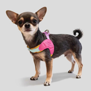 Teeker Pet No Pull Dog Harness and Leash Set Soft Escape Proof Puppy Vest Harness with Handle Lightweight Adjustable Harness for Maltese Shih Tzu Puppy