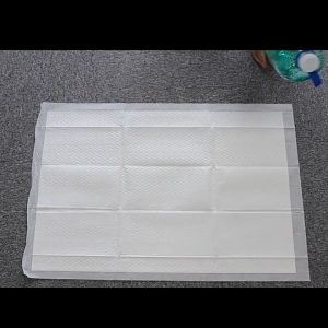 แผ่นฉี่สุนัข แผ่นฉี่แมว ไม่ติด ช่วยฝึกขับถ่าย แผ่นฉี่สุนัข ป้องกันแบคทีเรีย ดูดซึมได้ดี เก็บกลิ่น