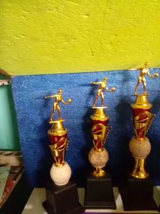 VID_20250131_144359.mp4