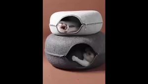 Cat Tunnel Donut Playground Toy Scratcher Cat Bed Kitten Training Toy Pet Interactive Play Tempat Tidur Mainan Kucing