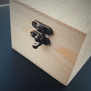 Kunci Pengait Peti Buckle Hook Box 10 PCS