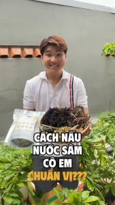 Set nước sâm chuẩn vị nước sâm Cô Em thảo mộc thanh nhiệt - mỗi set nấu 10L nước Sản Phẩm Hữu Cơ Nước Sâm Nước Sâm Dinh Dưỡng Cho Sức Khỏe - Lazada