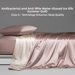 shui yang | Anti-Bacterial Cool Silk Summer Quilt Set for Double