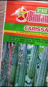 Benih Bibit OYONG CARISSA F1 10gr Bintang Asia Benih Unggul