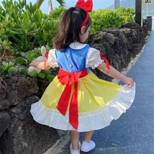 Elsa Princess Disney Inspired Girls Dress
