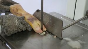 Lưỡi cưa xương chu vi 1650m Hàng nhập khẩu dùng cho máy cưa