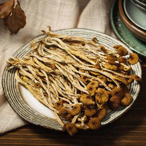 Gluttonous ears Gutian specialty dried shiitake mushrooms tea tree mushroom farm