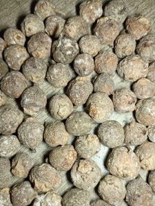 Quả vả khô (sung rừng khô) hái tự nhiên và phơi khô bằng nắng