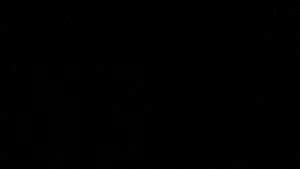 Túi Trống Du Lịch Ngắn Ngày Dài Ngày Dành Cho Nam Nữ PRAZA - TX078