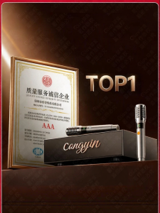 YOUNAI | Hệ Thống Karaoke Gia Đình Micro Máy Hát Bluetooth Loa