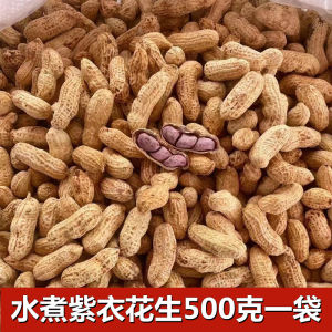 Rocky Mountain Roasted Peanuts Garlic Flavor Wet Cooked White Dried Red Clay Special Snacks from Fujian Province 2 Pounds